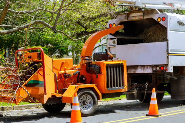 Fairburn, GA Tree Care Services Company